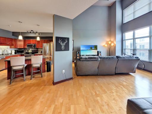 308 E 18th Street, 305, Minneapolis, MN 55404