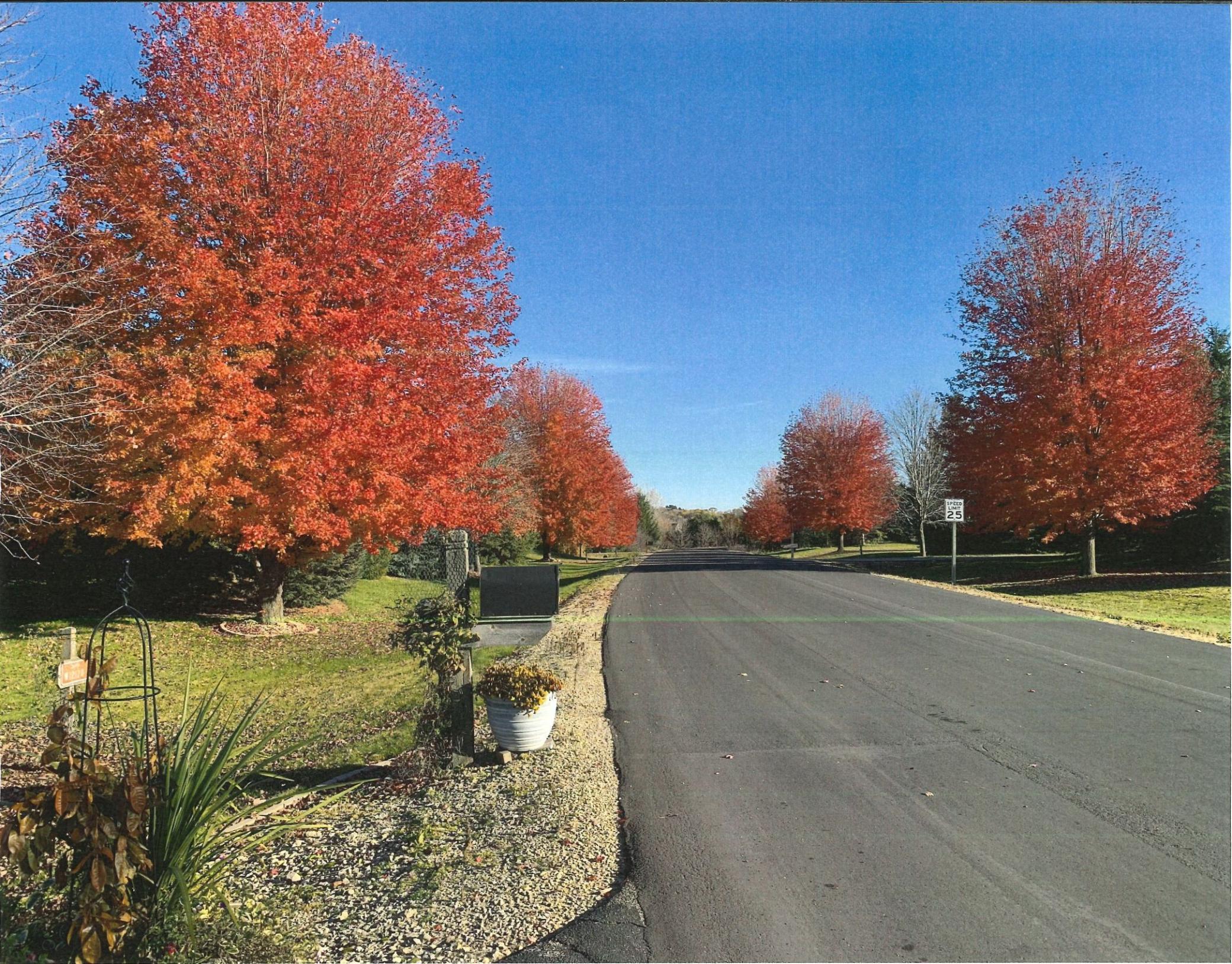 Fall colors at the street