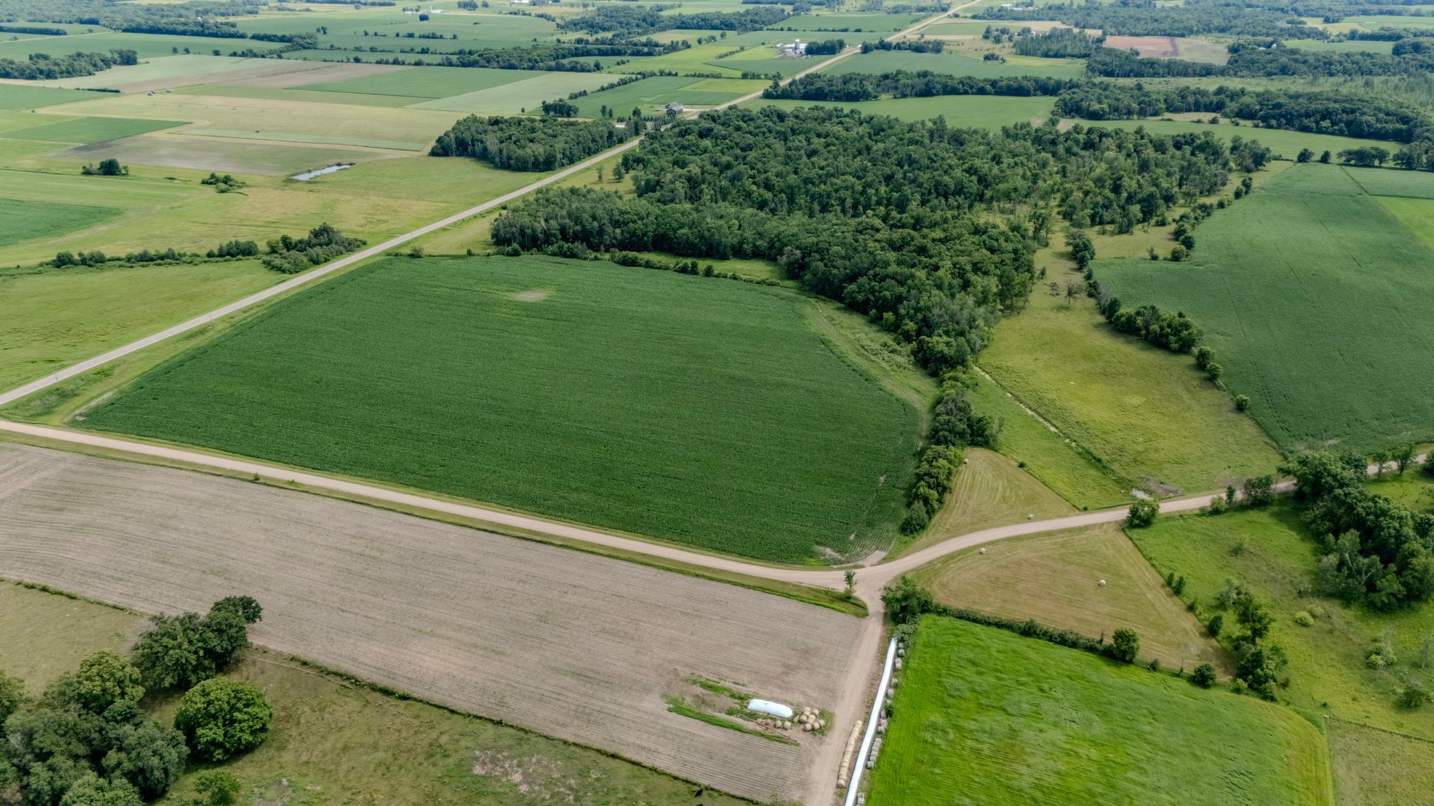 Prime 40 Acre parcel with tar road frontage