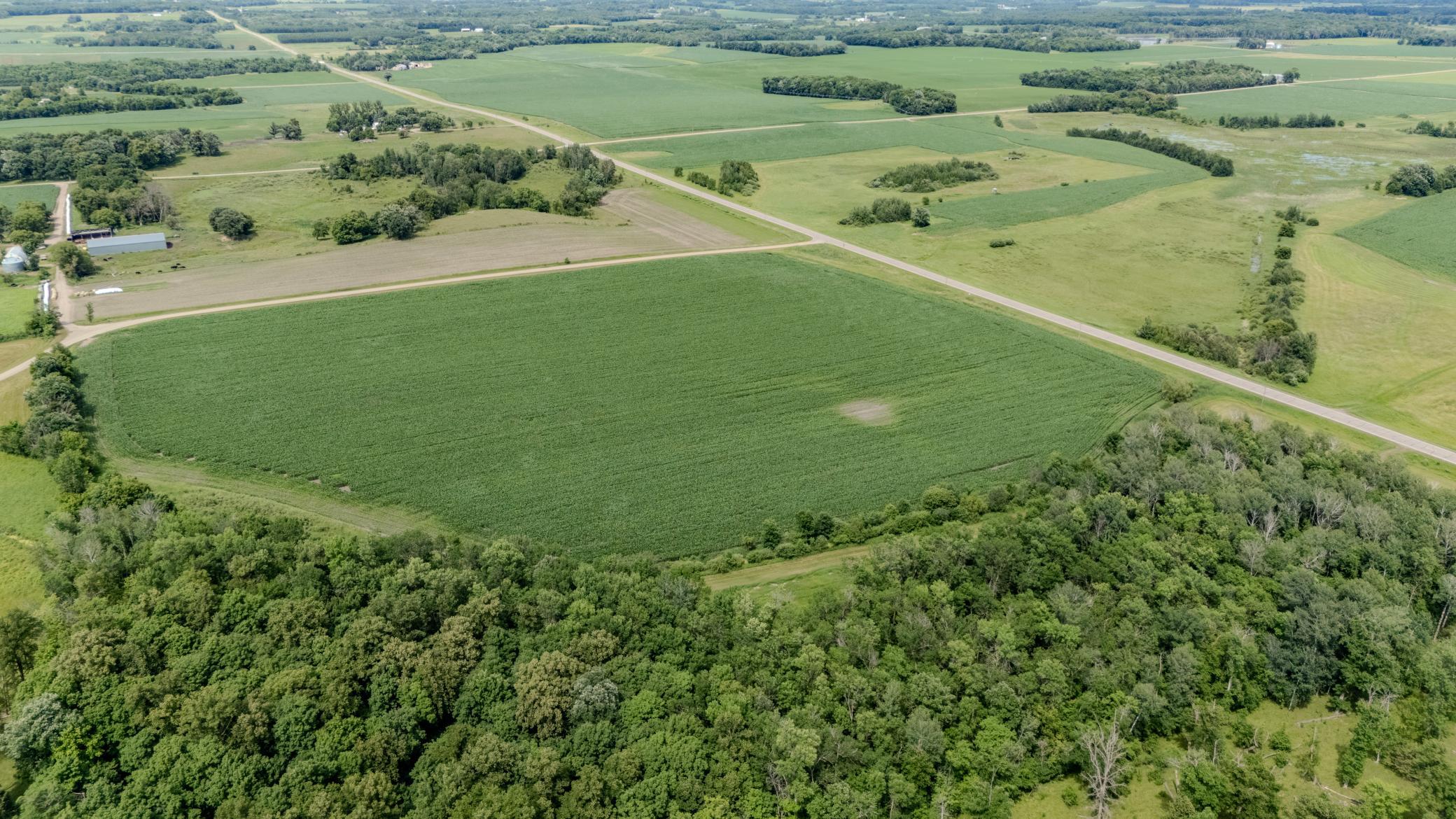 11-DJI_20260706151624_0163_D-HDR.jpg
