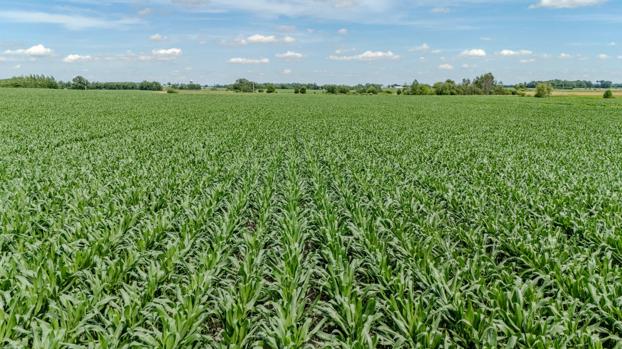 22-DJI_20260706152133_0219_D-HDR.jpg