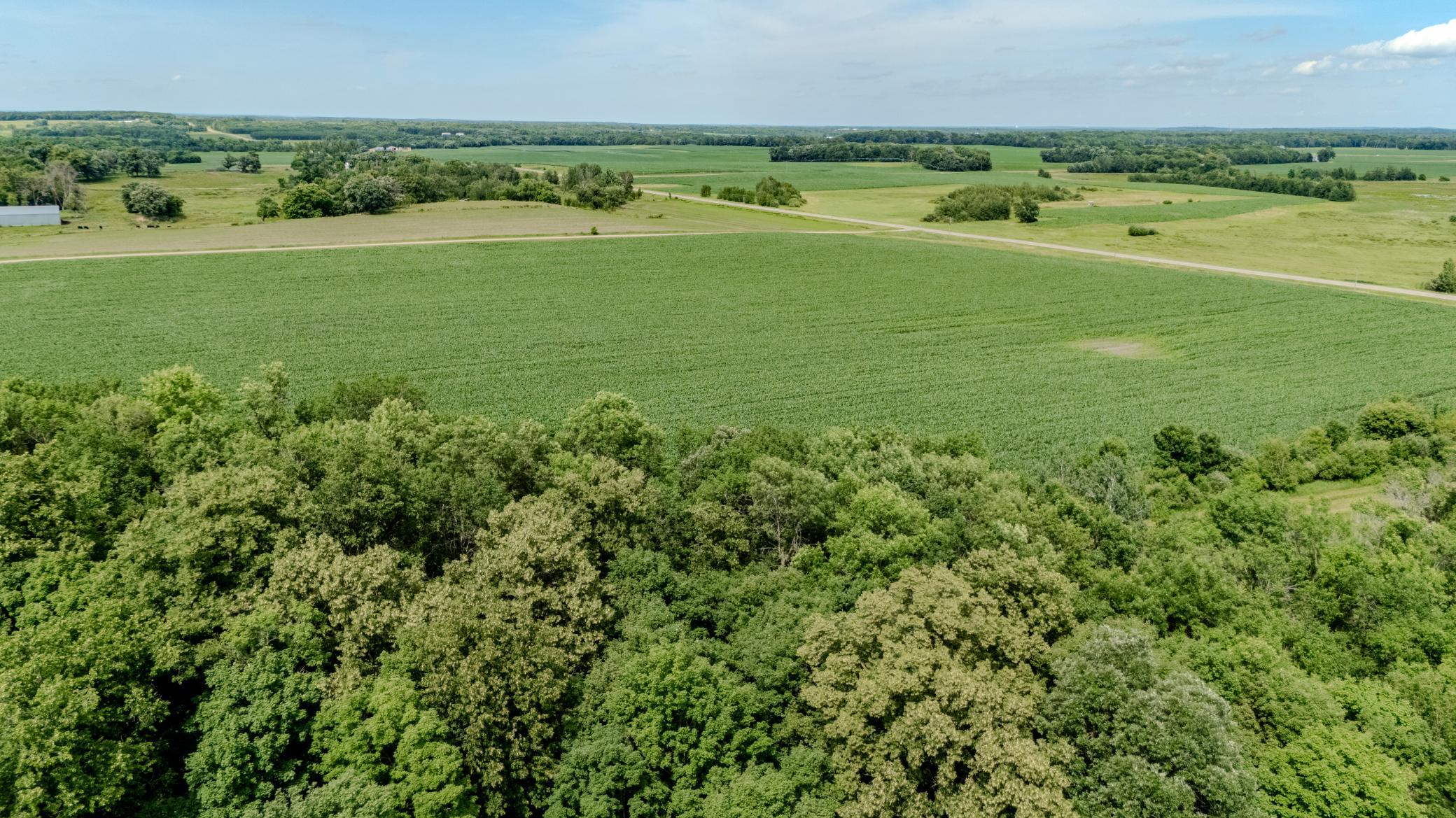 23-DJI_20260706152357_0225_D-HDR.jpg