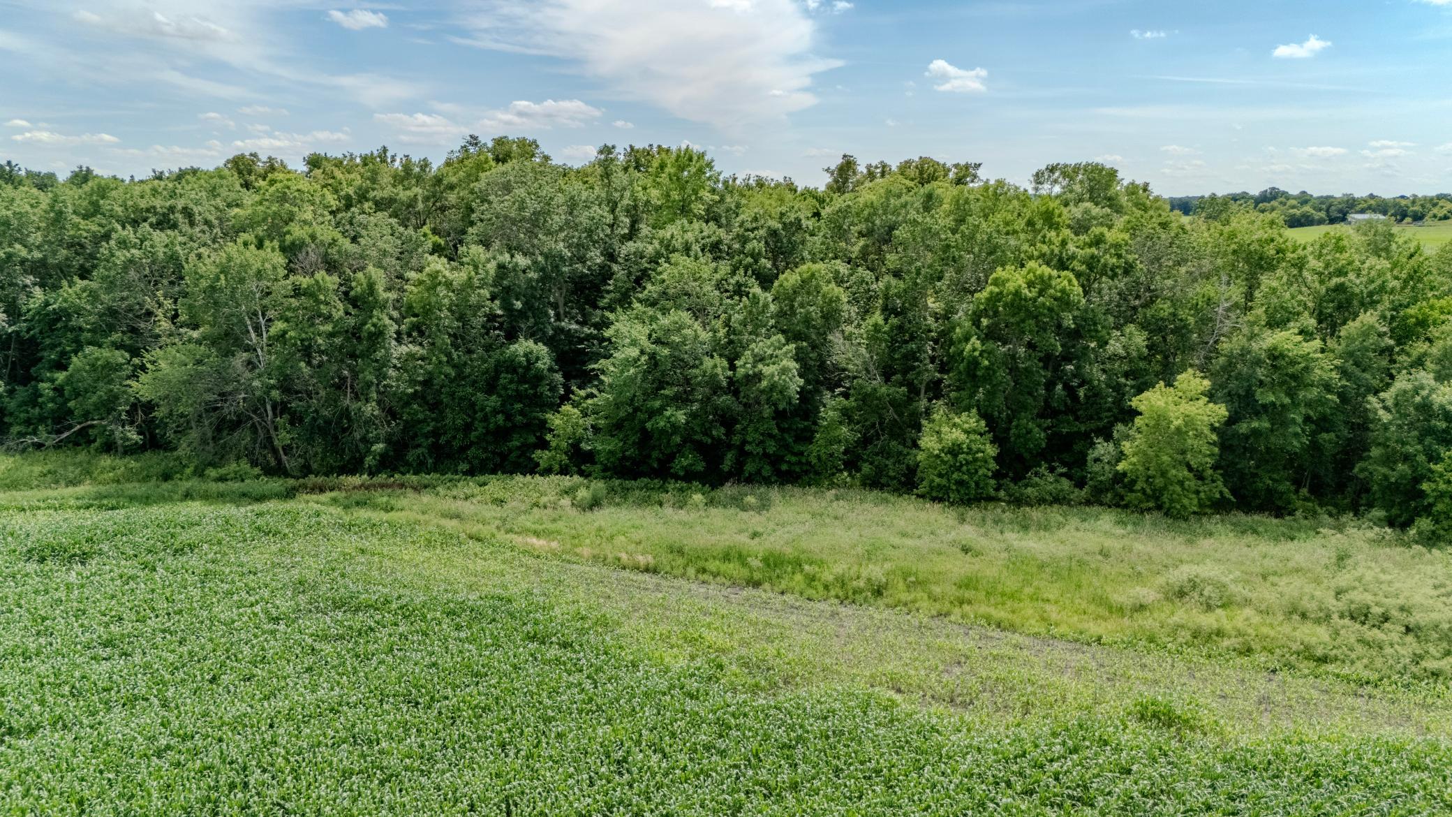 19-DJI_20260706152046_0204_D-HDR.jpg