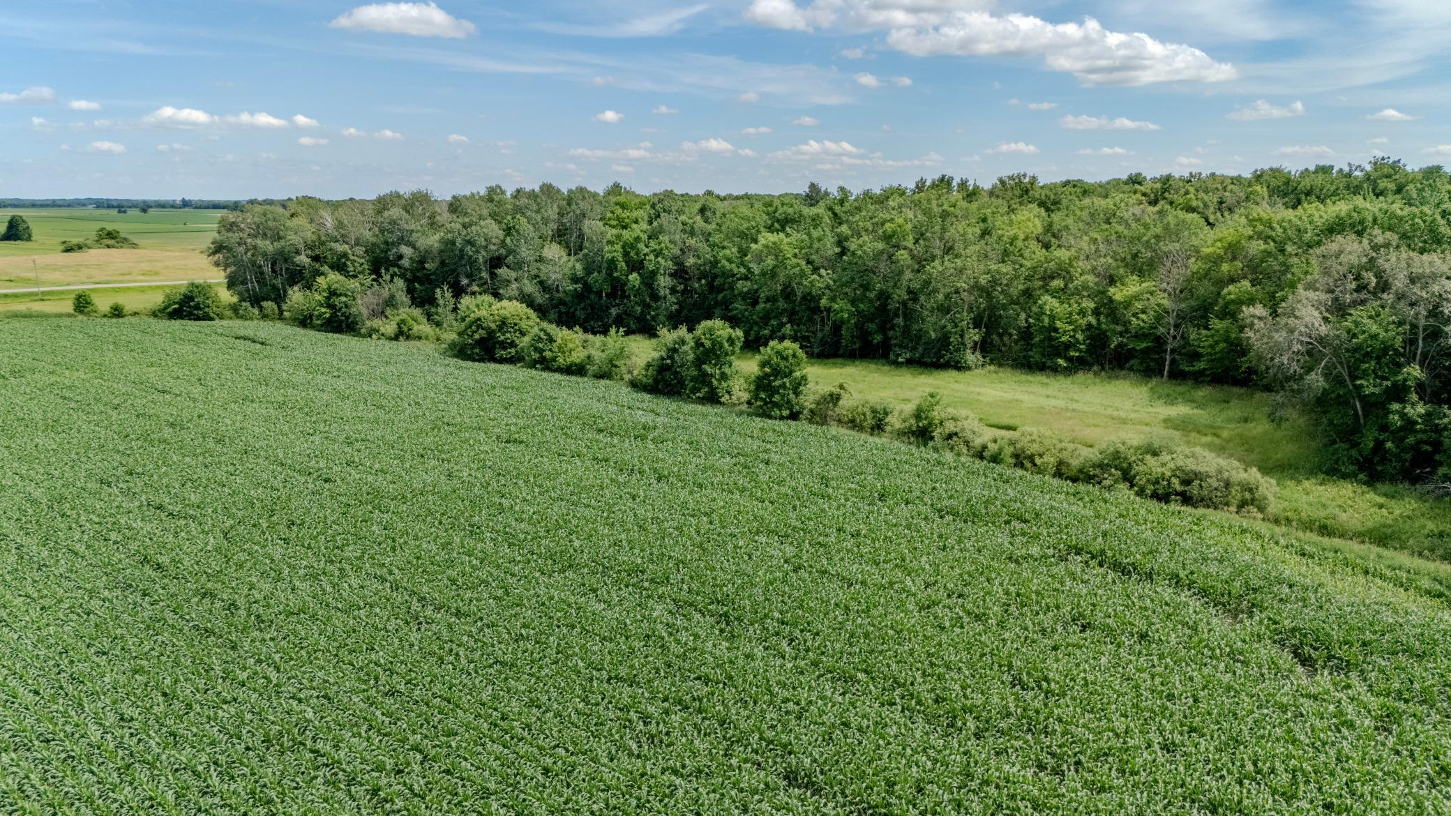 18-DJI_20260706152028_0199_D-HDR.jpg