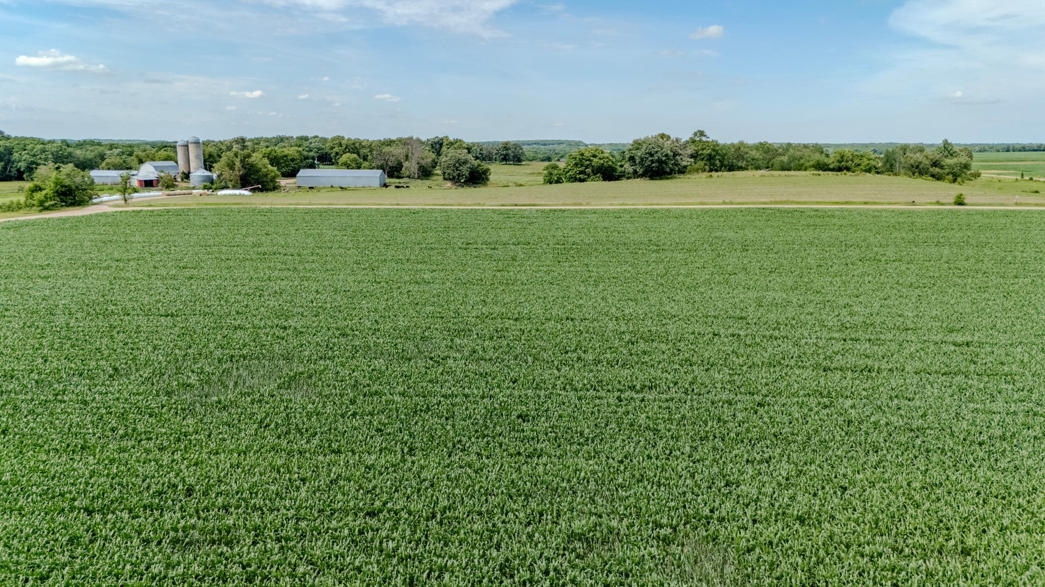 21-DJI_20260706152109_0214_D-HDR.jpg