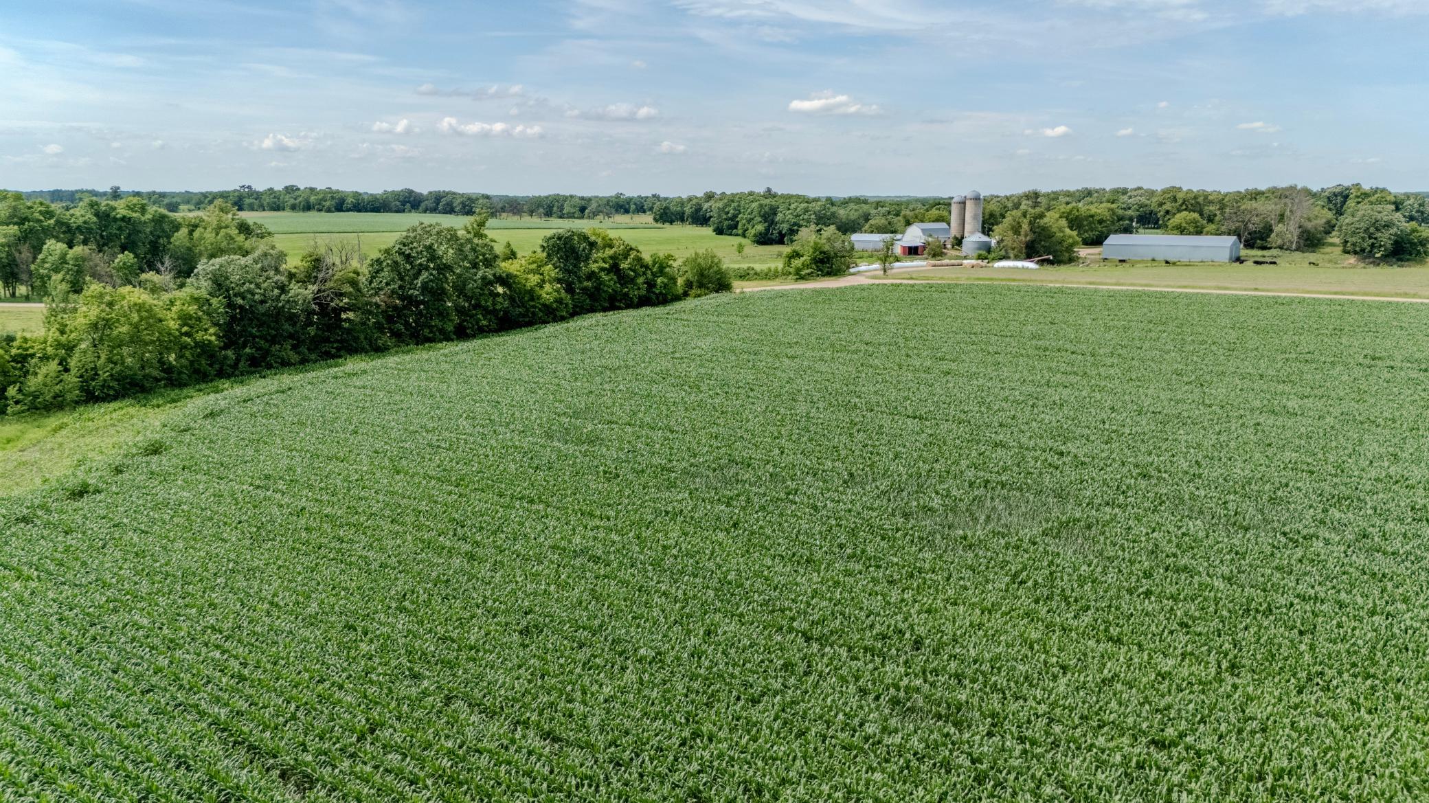 20-DJI_20260706152057_0209_D-HDR.jpg