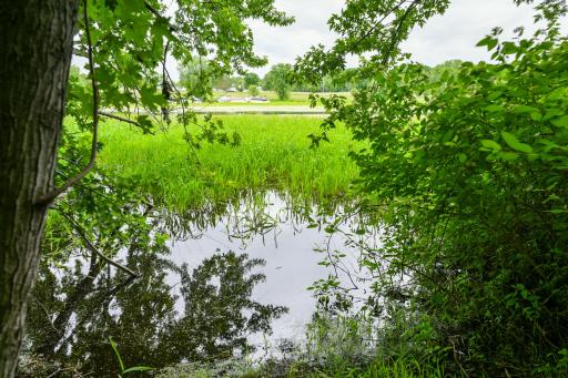 19231 Highwood Shores Road, Pine City, MN 55063