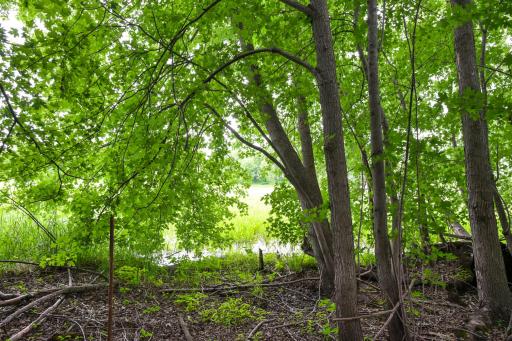 19231 Highwood Shores Road, Pine City, MN 55063