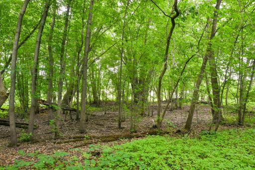 19231 Highwood Shores Road, Pine City, MN 55063