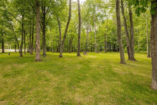 29 County Road 63, Grand Rapids, MN 55744