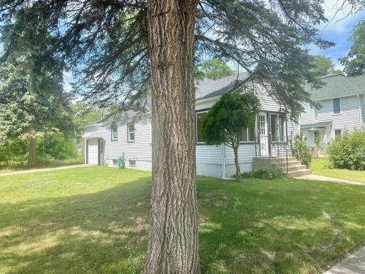 3-Corner lot with mature trees on edges.jpeg
