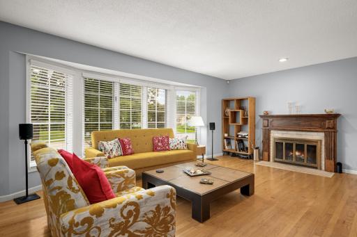 6620 Limerick Lane, Minneapolis, MN 55439