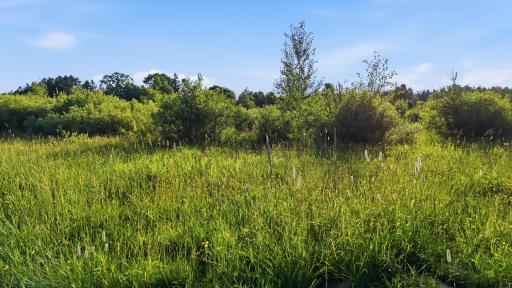 4832 Florence Drive, Moose Lake, MN 55767