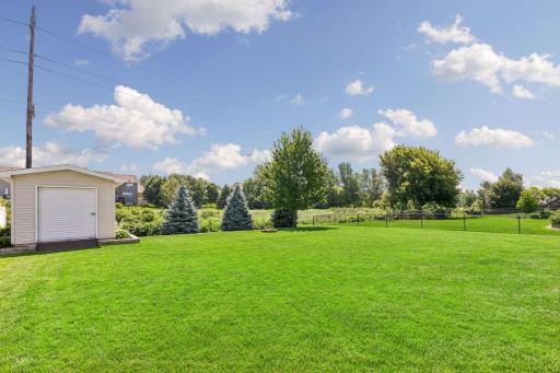 Sunny, flat backyard!
