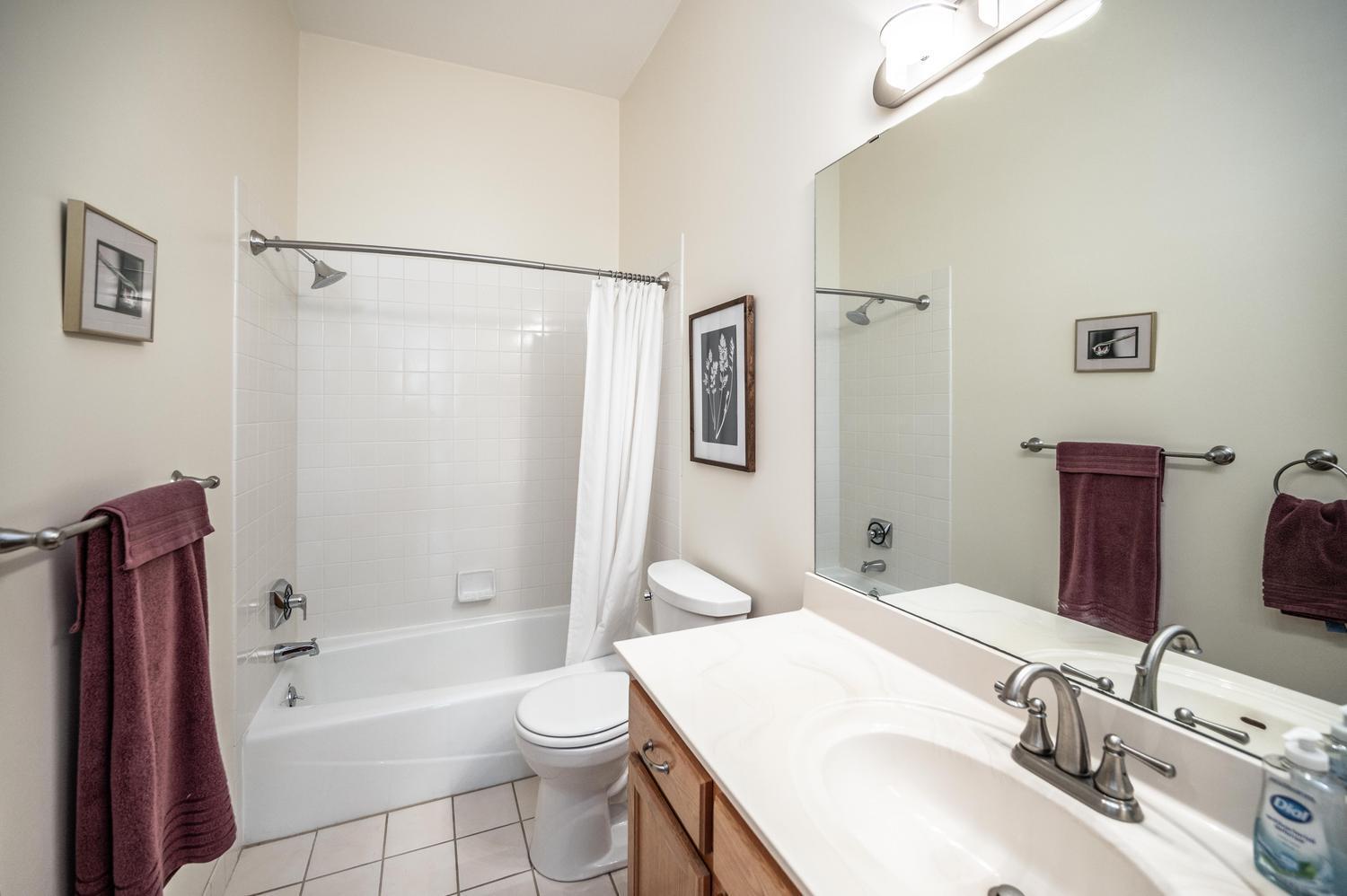 The full hallway bathroom