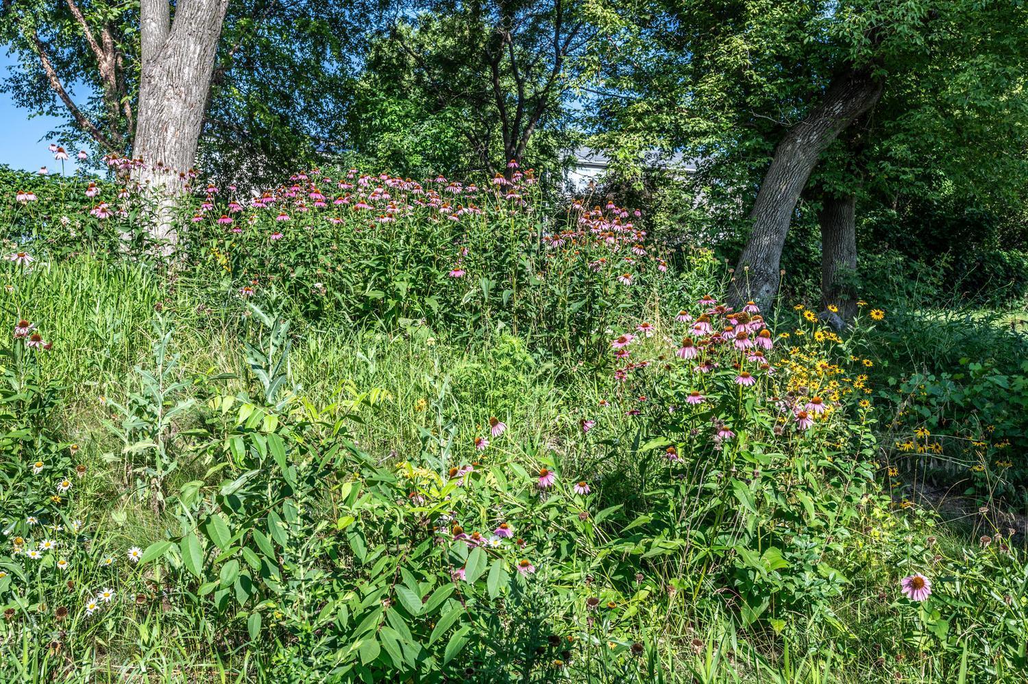 Enjoy the pretty wildflowers from your relaxing patio