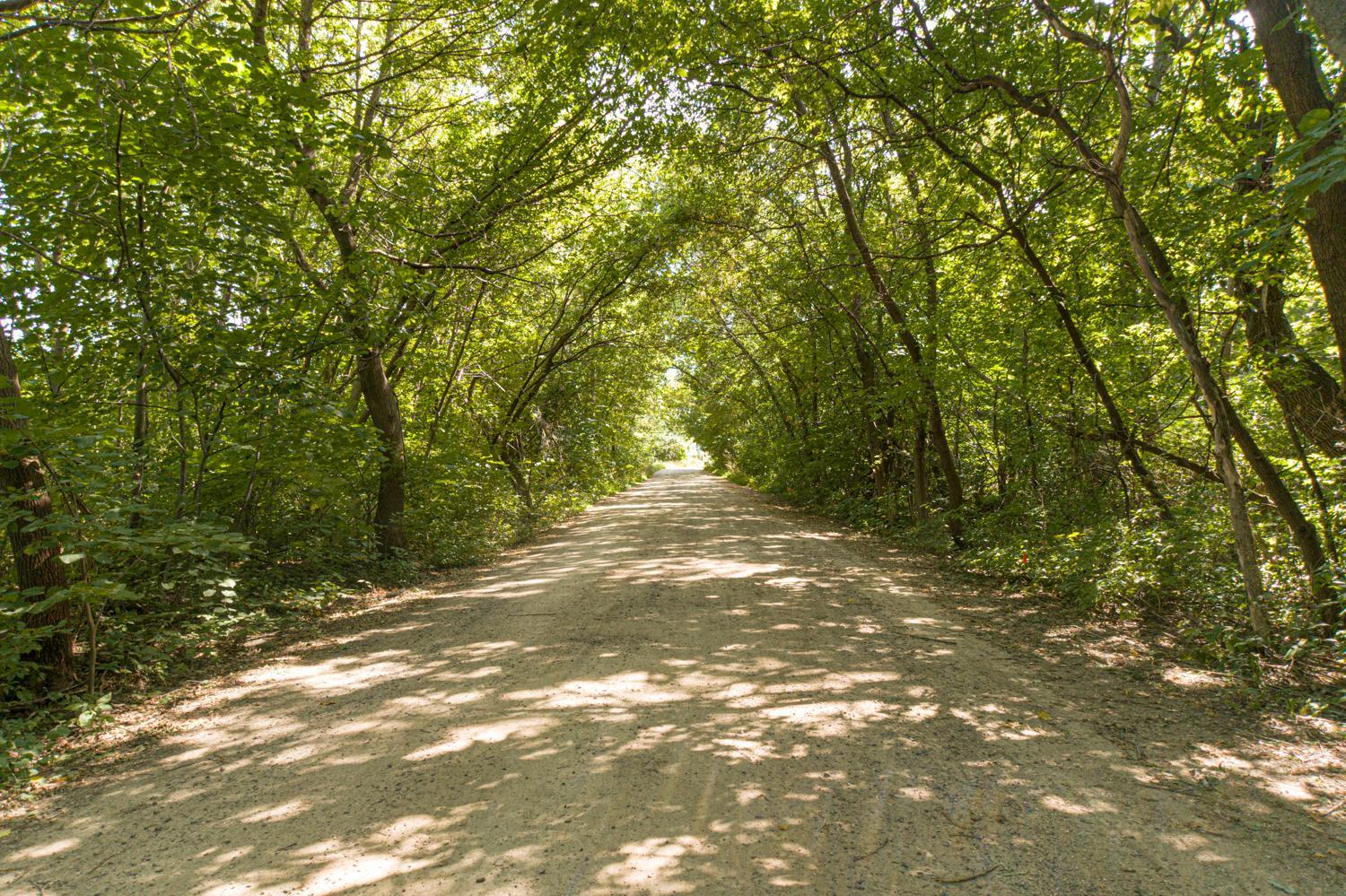You can access the lots through this rustic road off of 316th. You can also access through 314th/Maria off of North Lakes Trail.