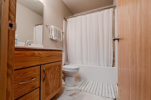 Lower Level Bathroom