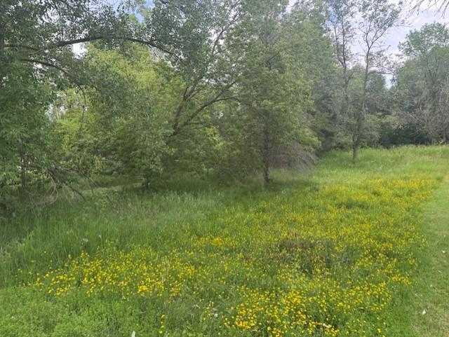 lot 4 block 4.tree coverage.jpg