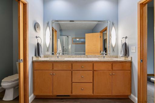 290 Grace Pointe Court, Wayzata, MN 55391