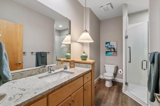 290 Grace Pointe Court, Wayzata, MN 55391