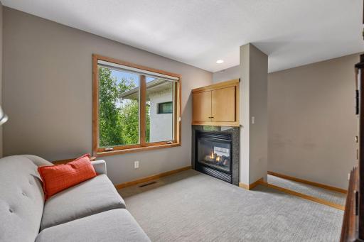 290 Grace Pointe Court, Wayzata, MN 55391