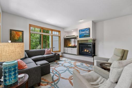 290 Grace Pointe Court, Wayzata, MN 55391