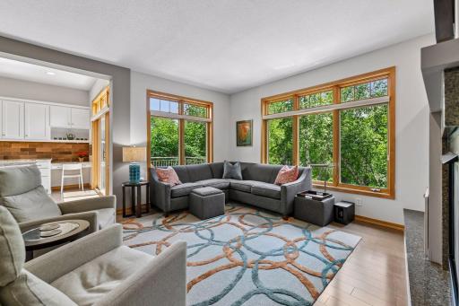 290 Grace Pointe Court, Wayzata, MN 55391