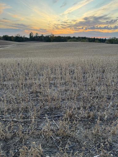 TBD Placid Drive, Dent, MN 56528