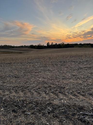 TBD Placid Drive, Dent, MN 56528