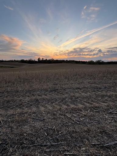 TBD Placid Drive, Dent, MN 56528