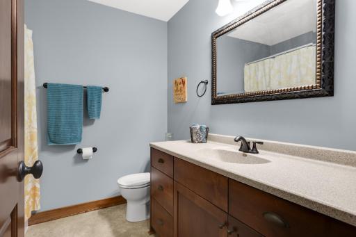 Lower Level Bathroom