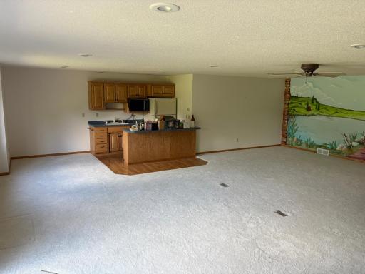 12787 Braseth Bay Road, Lake Park, MN 56554