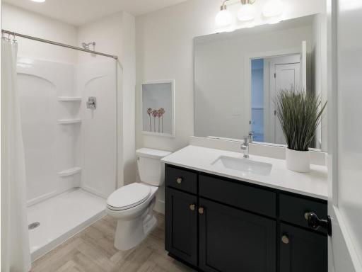 13290 Cadogan Way, Rosemount, MN 55068