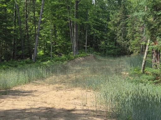 TBD County 54 NE, Longville, MN 56655