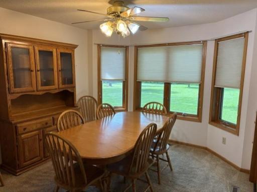 33850 98th Street, Waseca, MN 56093