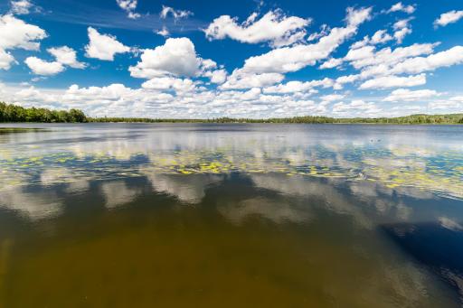 10452 Orchard Park Lane SW, Pillager, MN 56473