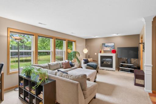 Famiily Room W/ Fireplace (New Carpeting)
