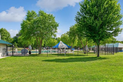 Memorial Park.jpg
