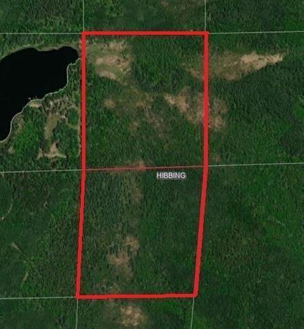 Property photo for TBD S Town Line Rd, Hibbing, MN 55746