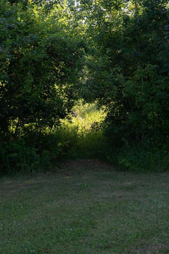 Photo 66