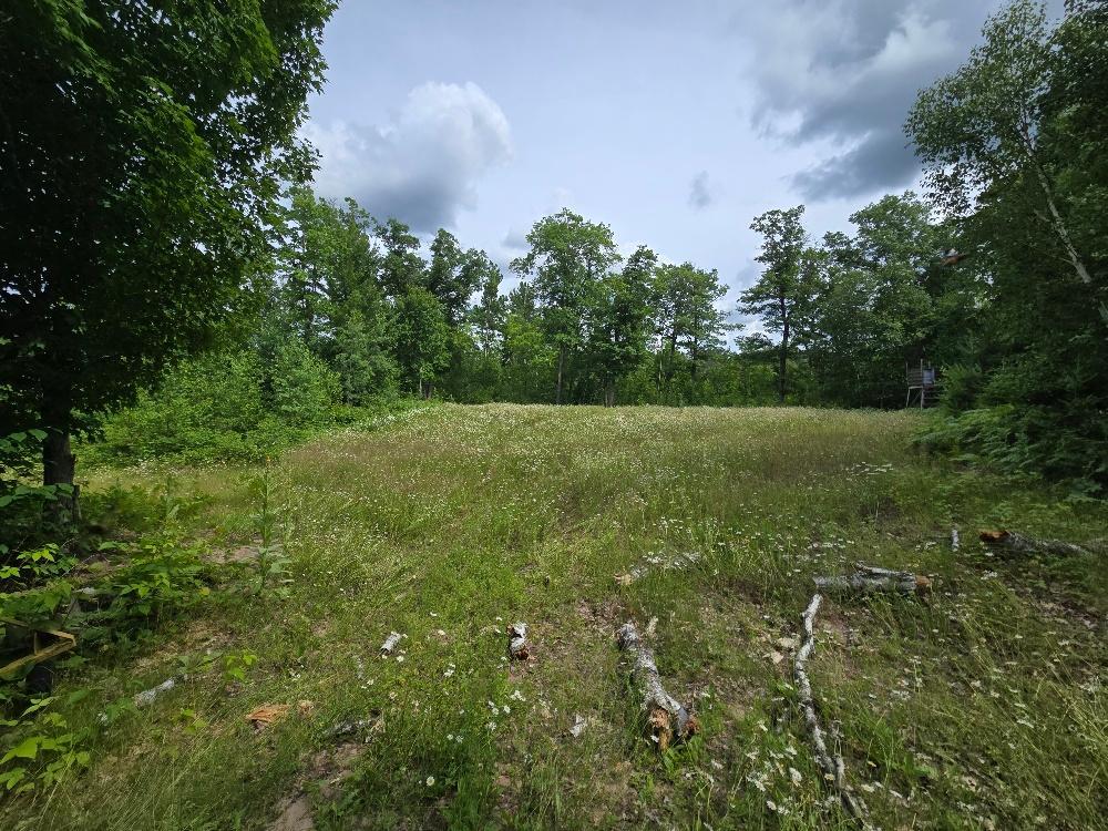 Food Plot