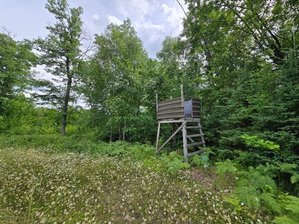 Deer Stand