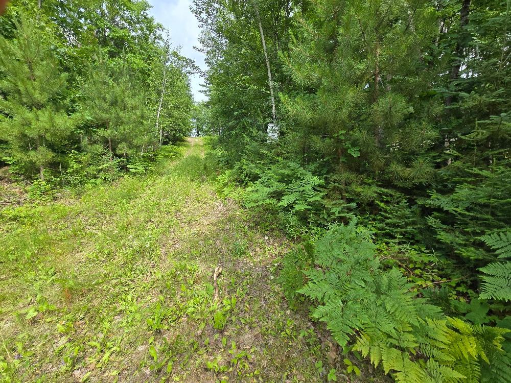 Driveway into property