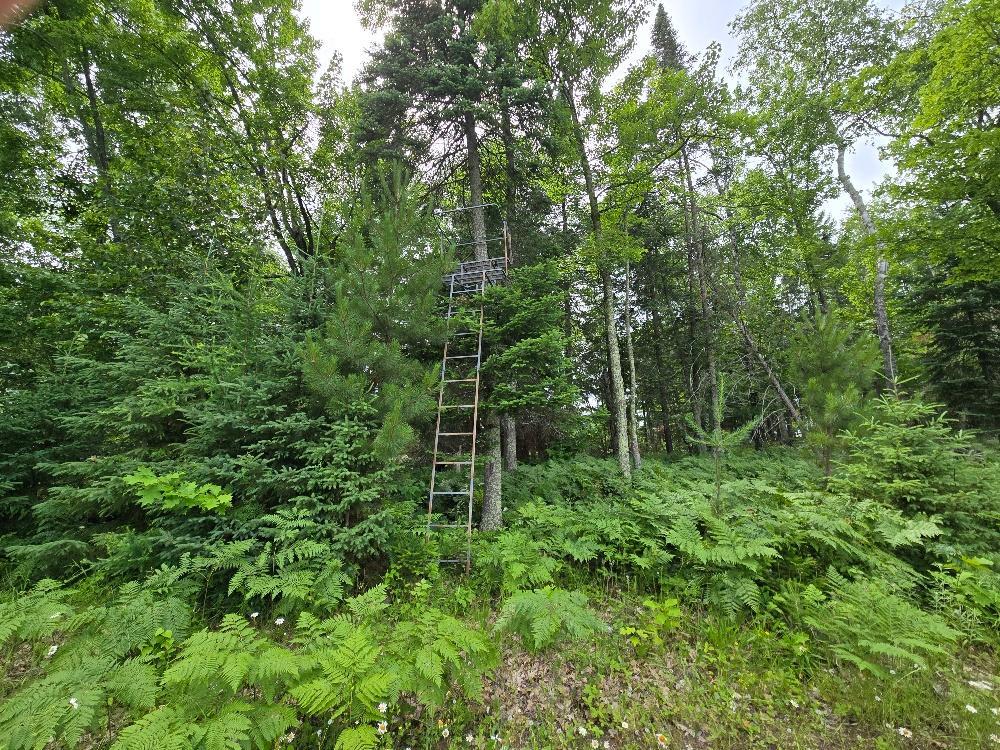 Deer Stand