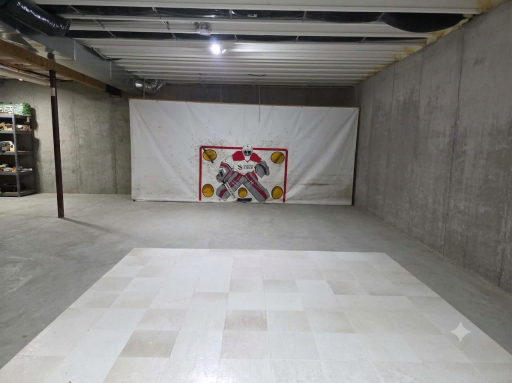 Basement - Hockey Shooting Tarp can stay if buyer desires - AI used to remove personal items only