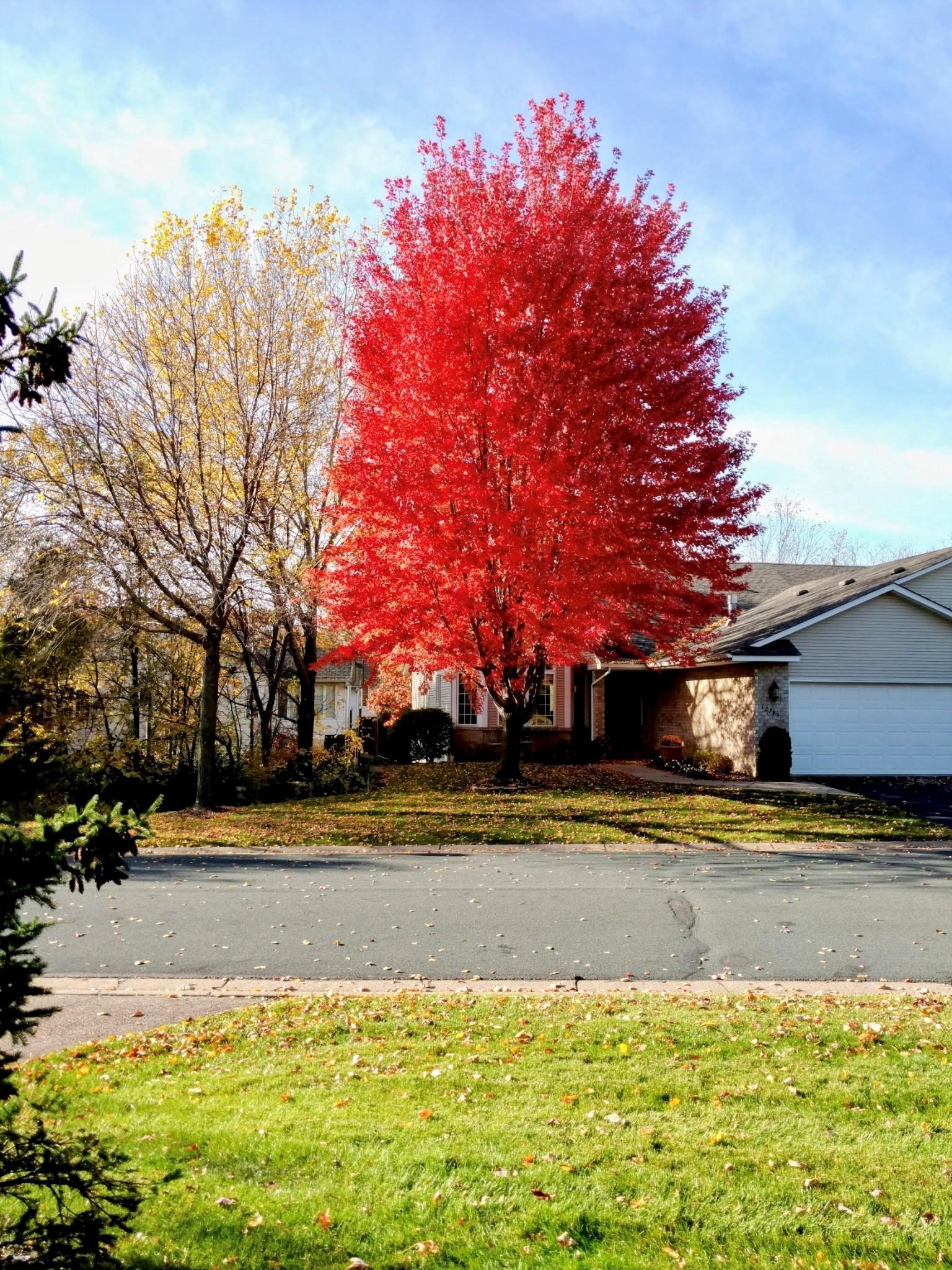 Front of the house in the fall