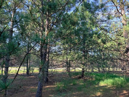 TBD Lita Lane, Menahga, MN 56464