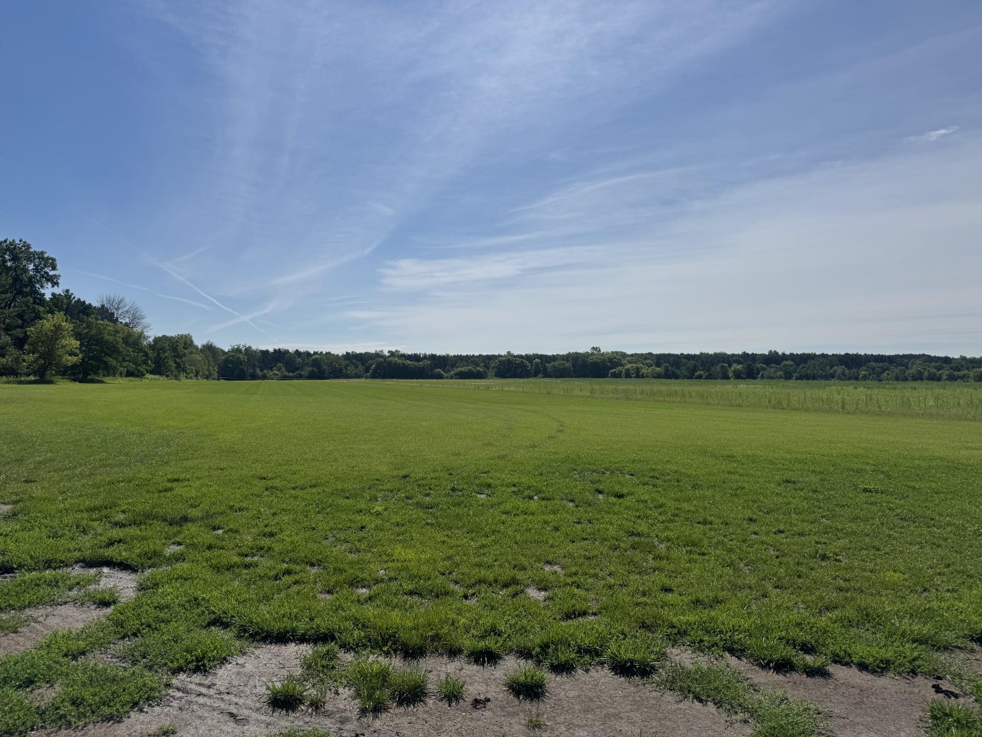 Mogren Farms_Lot C