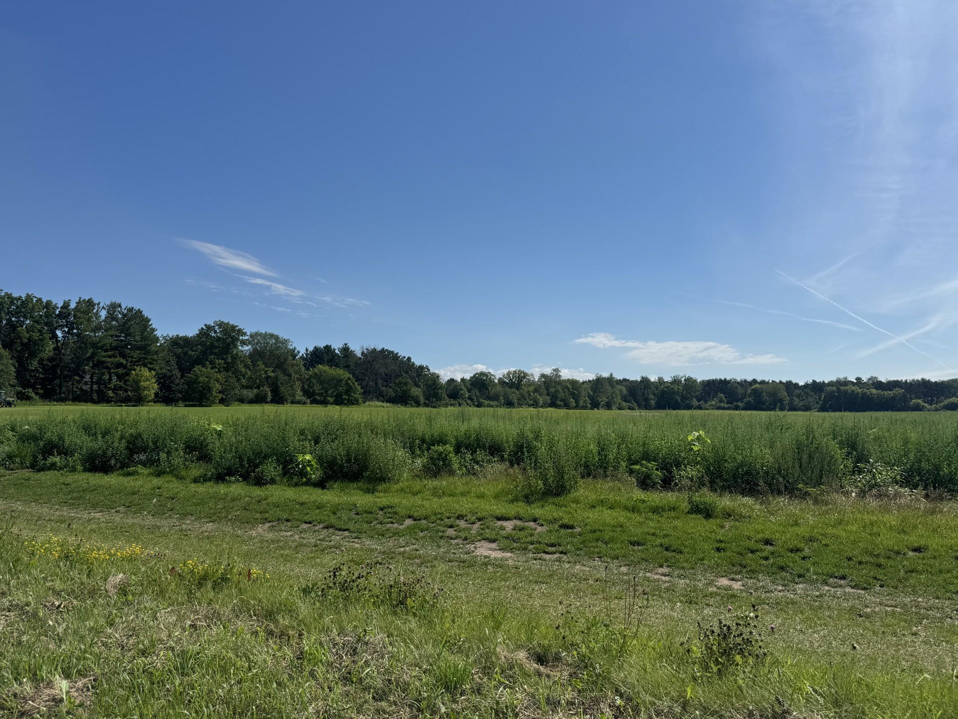 Mogren Farms_Lot C